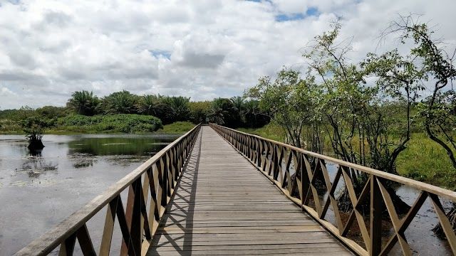 Parque Municipal Klaus Peters